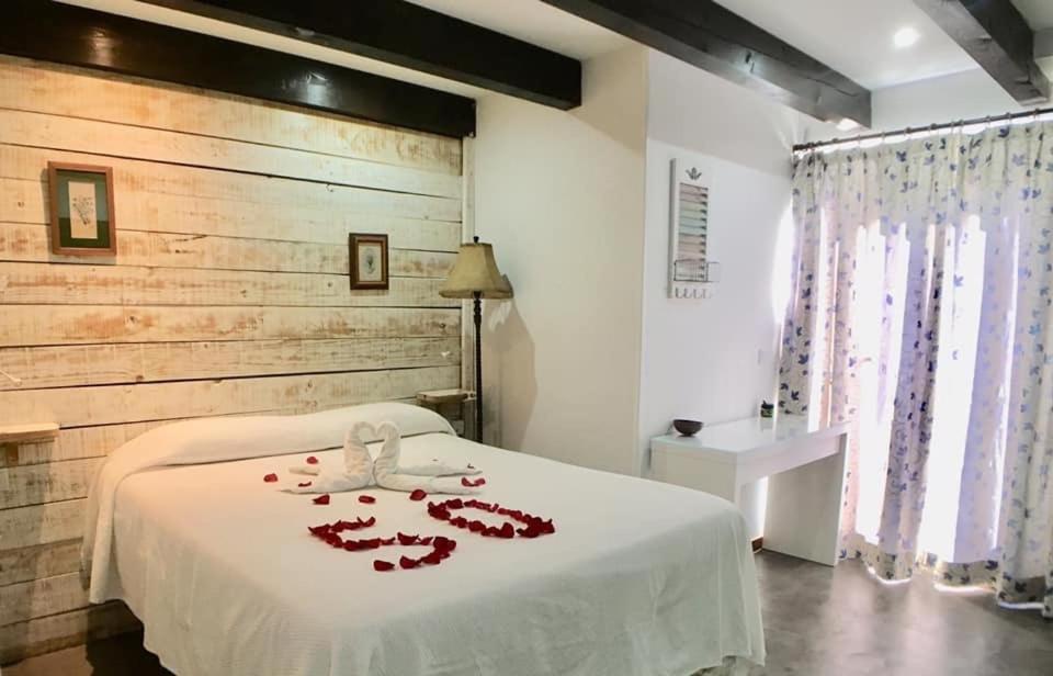 Albergue Boi Romanic Suites بارويرا المظهر الخارجي الصورة